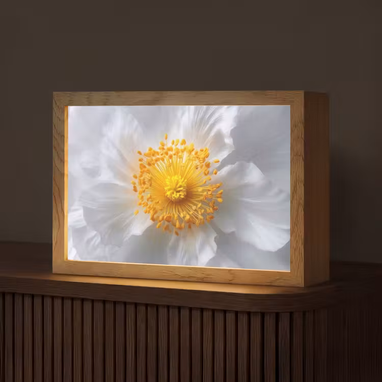 Wit - Bloem - Elegant Light Box met kabel (Tafellamp) klein -z3d_website