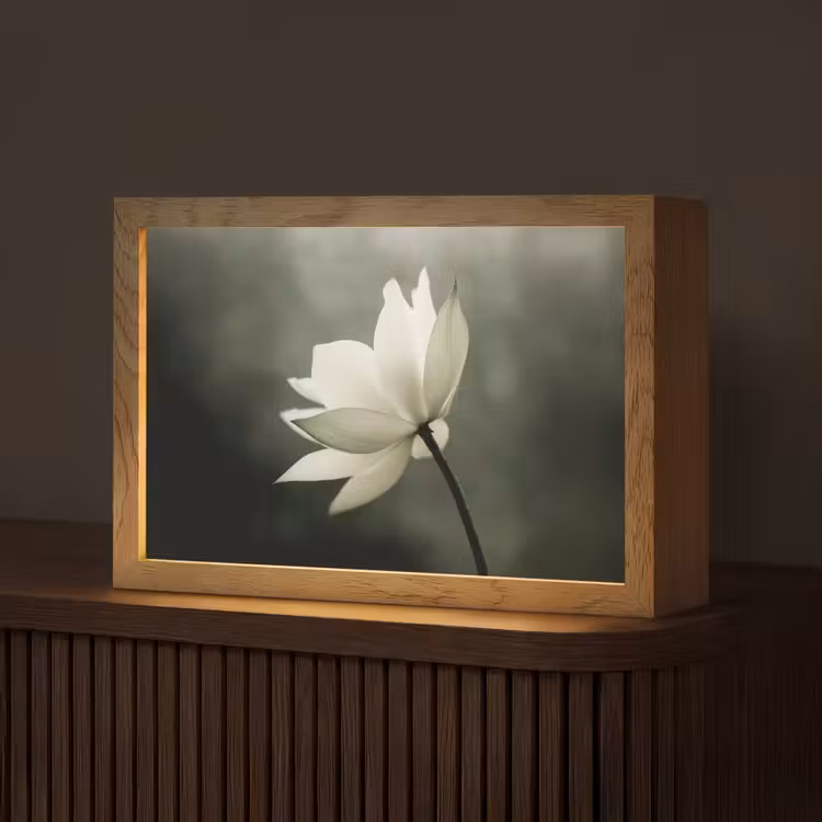 Wit - Lotus - Donker - Bloem Light Box met kabel (Tafellamp) klein -z3d_website