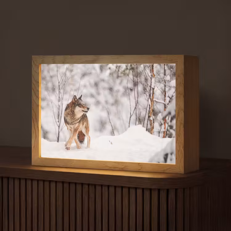 Wolf - Winter - Sneeuw - Natuur - Dieren Light Box met kabel (Tafellamp) klein -z3d_website