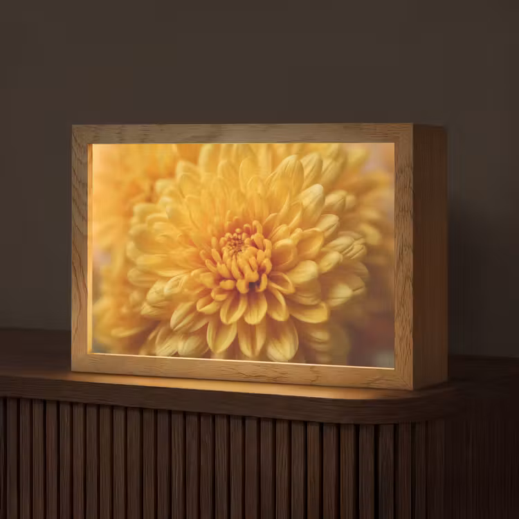 Geel - Chrysant - Zachtheid Light Box met kabel (Tafellamp) klein -z3d_website