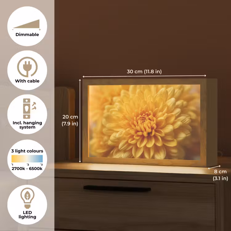 Geel - Chrysant - Zachtheid Light Box met kabel (Tafellamp) klein -USP_EN