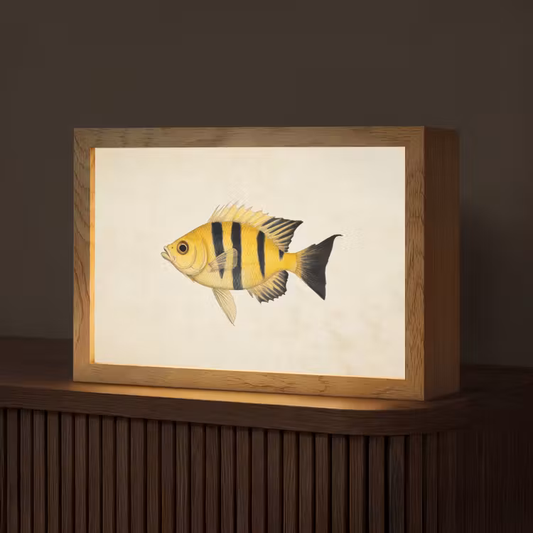 Geel - Vis - Strepen - Tropisch Light Box met kabel (Tafellamp) klein -z3d_website