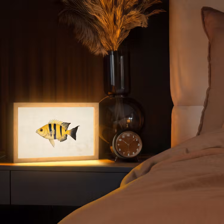 Geel - Vis - Strepen - Tropisch Light Box met kabel (Tafellamp) klein -sfeer1