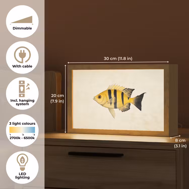 Geel - Vis - Strepen - Tropisch Light Box met kabel (Tafellamp) klein -USP_EN