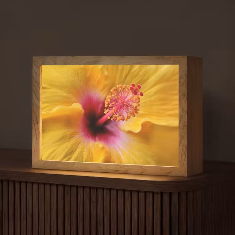Geel - Hibiscus - Tropisch Light Box met kabel (Tafellamp) klein -z3d_website