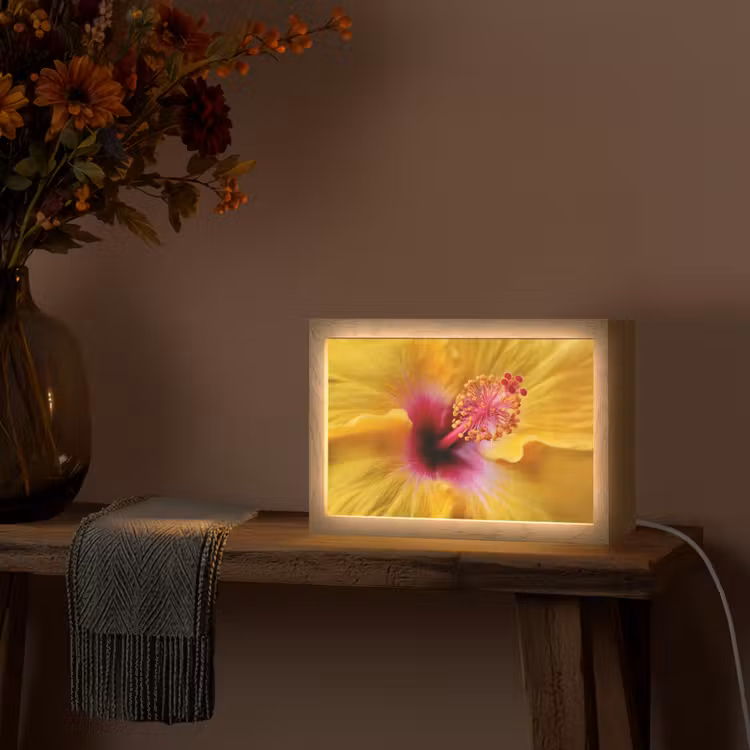 Geel - Hibiscus - Tropisch Light Box met kabel (Tafellamp) klein -sfeer4