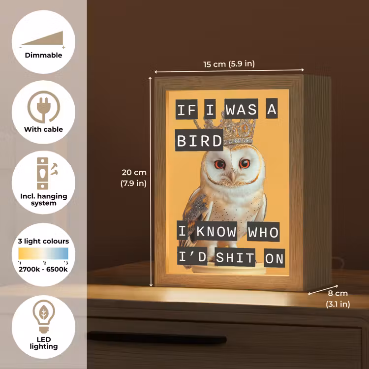 Geel - Uil - Vogel - Decoratie Light Box met kabel (Tafellamp) klein -USP_EN