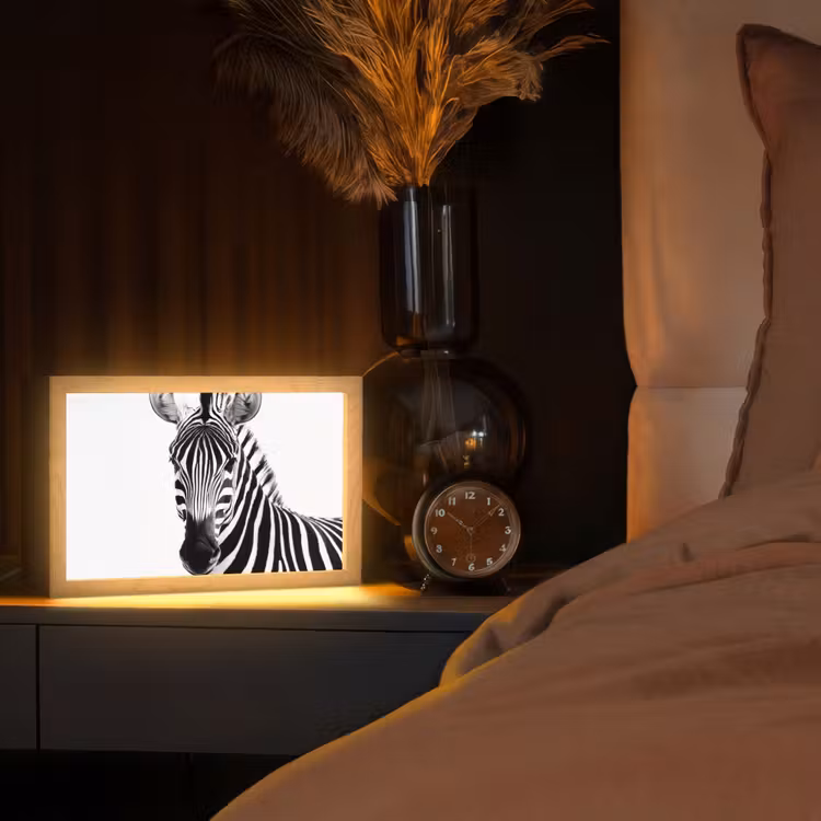 Zebra - Close-up - Zwart - Strepen Light Box met kabel (Tafellamp) klein -sfeer1