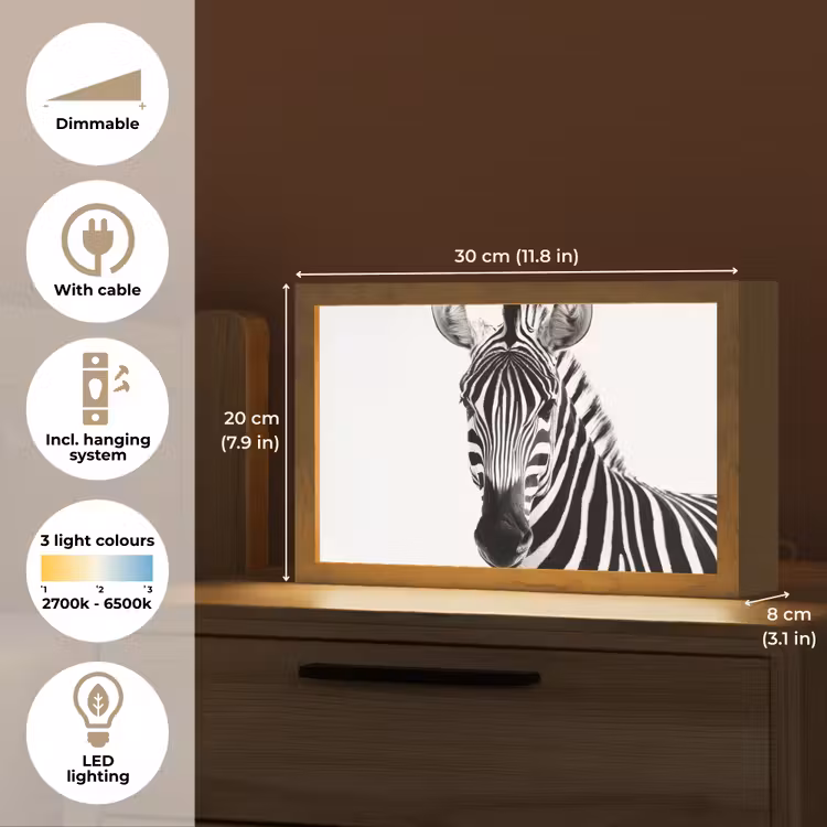 Zebra - Close-up - Zwart - Strepen Light Box met kabel (Tafellamp) klein -USP_EN