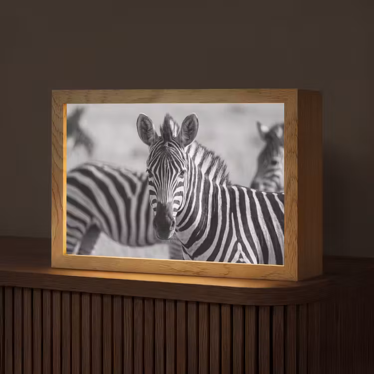 Zebra's - Zwart - Wit Light Box met kabel (Tafellamp) klein -z3d_website