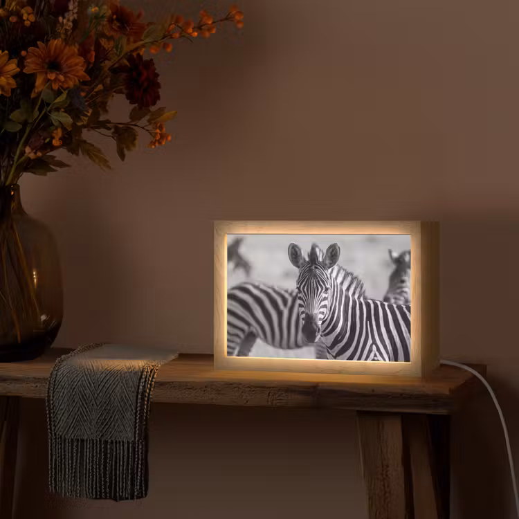 Zebra's - Zwart - Wit Light Box met kabel (Tafellamp) klein -sfeer4