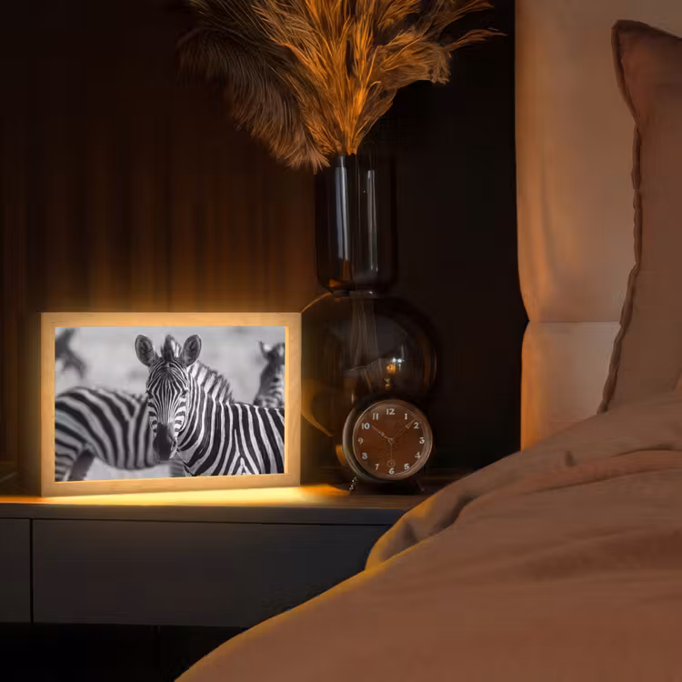 Zebra's - Zwart - Wit Light Box met kabel (Tafellamp) klein -sfeer1