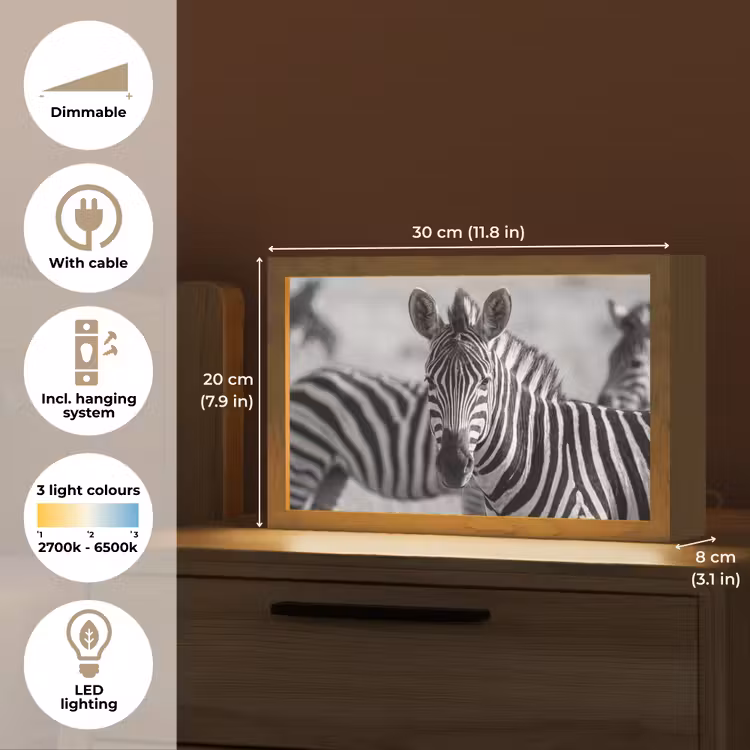 Zebra's - Zwart - Wit Light Box met kabel (Tafellamp) klein -USP_EN