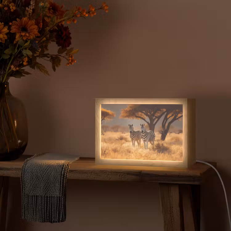 Zebra's - Savannelandschap - Gras Light Box met kabel (Tafellamp) klein -sfeer4