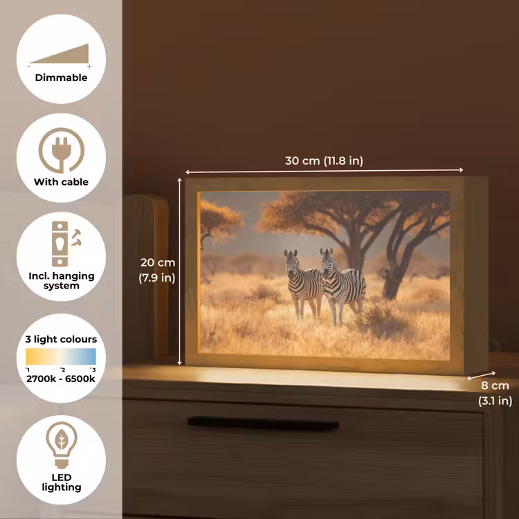 Zebra's - Savannelandschap - Gras Light Box met kabel (Tafellamp) klein -USP_EN