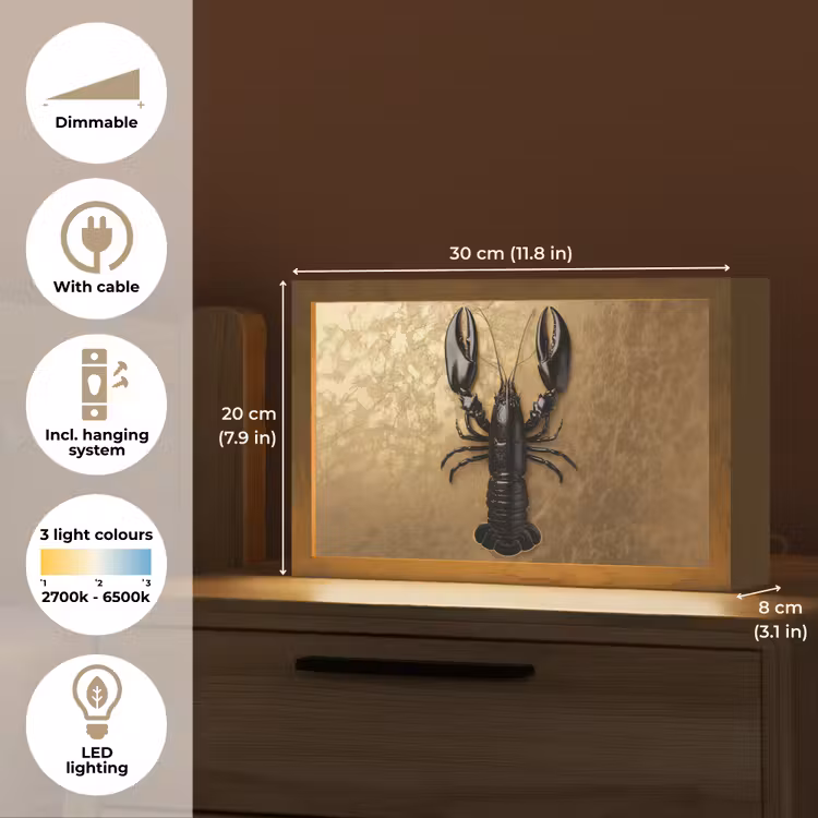 Kreeft - Zwart - Goud - Luxe Light Box met kabel (Tafellamp) klein -USP_EN