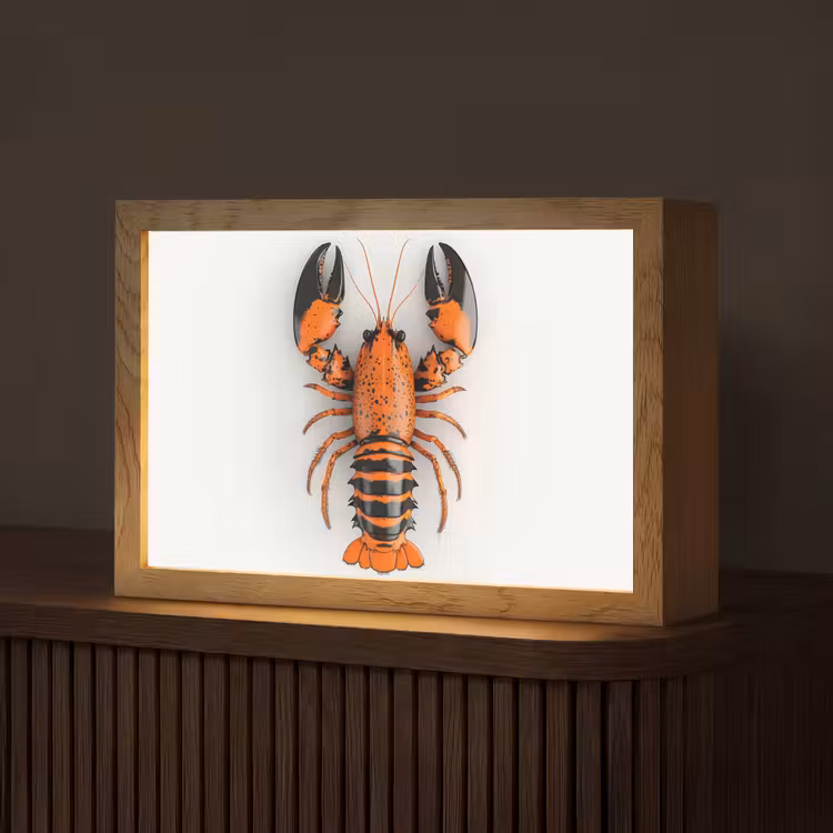 Kreeft - Zwart - Oranje - Wit - Uniek Light Box met kabel (Tafellamp) klein -z3d_website