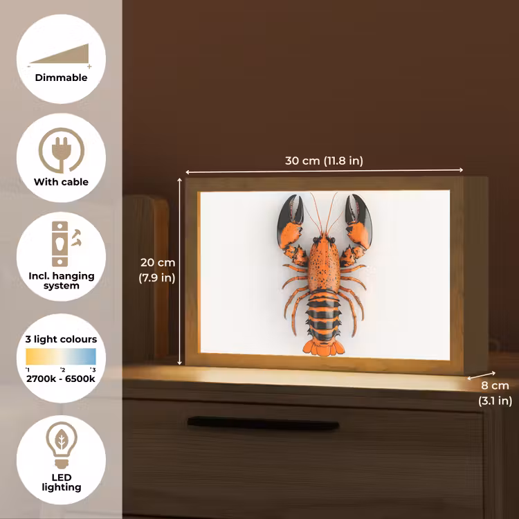 Kreeft - Zwart - Oranje - Wit - Uniek Light Box met kabel (Tafellamp) klein -USP_EN