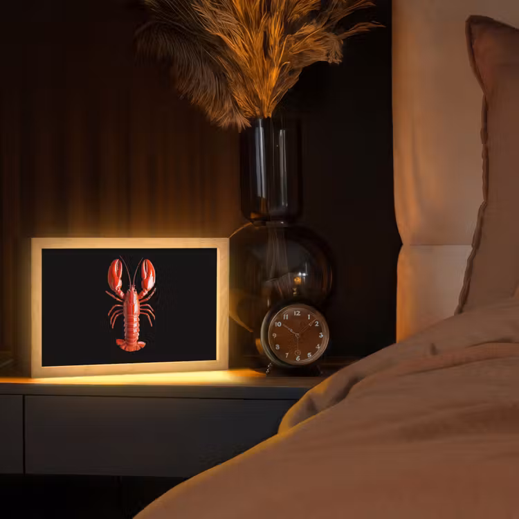 Kreeft - Glossier Rood - Zwart Light Box met kabel (Tafellamp) klein -sfeer1