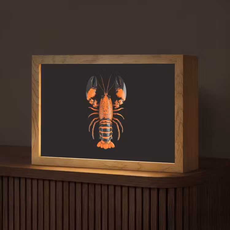 Kreeft - Oranje - Zwart - Modern Light Box met kabel (Tafellamp) klein -z3d_website