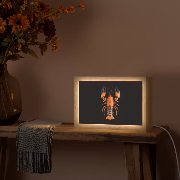 Kreeft - Oranje - Zwart - Modern Light Box met kabel (Tafellamp) klein -sfeer4