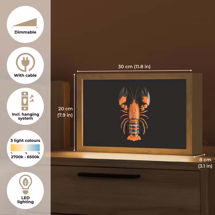 Kreeft - Oranje - Zwart - Modern Light Box met kabel (Tafellamp) klein -USP_EN