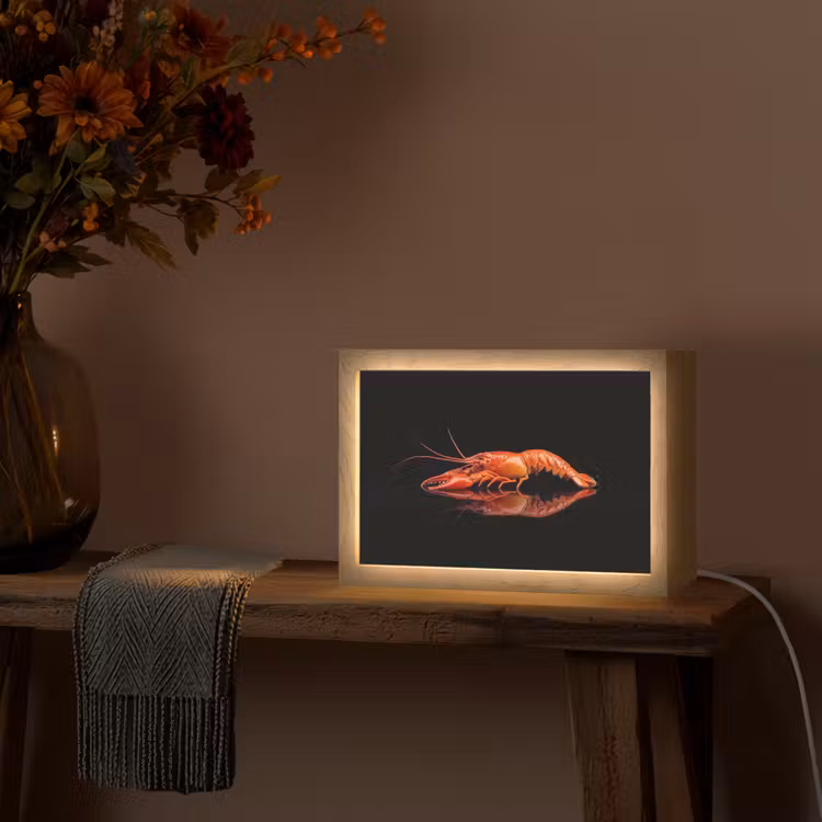 Kreeft - Oranje - Zwart - Opvallend Light Box met kabel (Tafellamp) klein -sfeer4