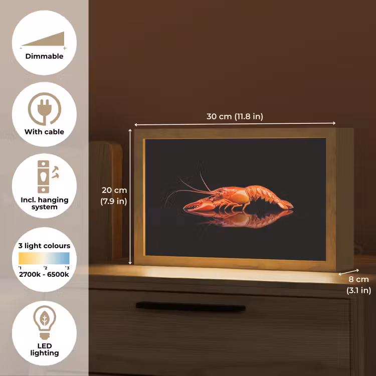 Kreeft - Oranje - Zwart - Opvallend Light Box met kabel (Tafellamp) klein -USP_EN