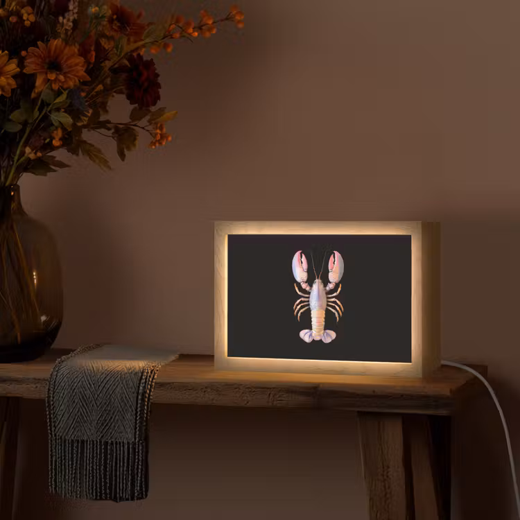 Kreeft - Roze - Zacht - Zwart Light Box met kabel (Tafellamp) klein -sfeer4