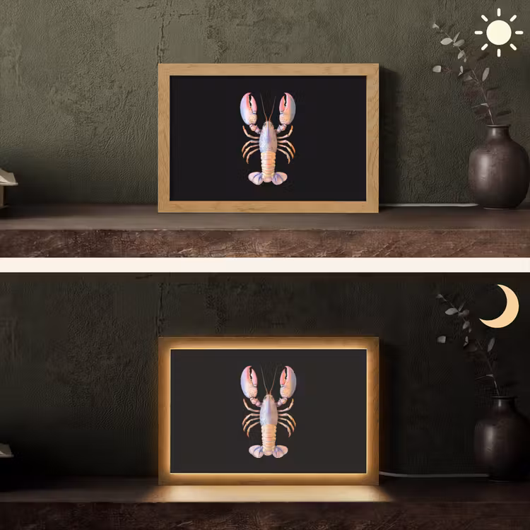 Kreeft - Roze - Zacht - Zwart Light Box met kabel (Tafellamp) klein -sfeer3