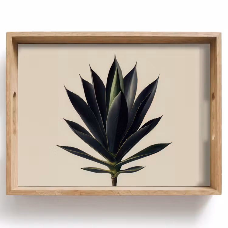 Agaveplant - Symmetrisch - Groen Dienblad Rechthoek middel -z3d_shopping