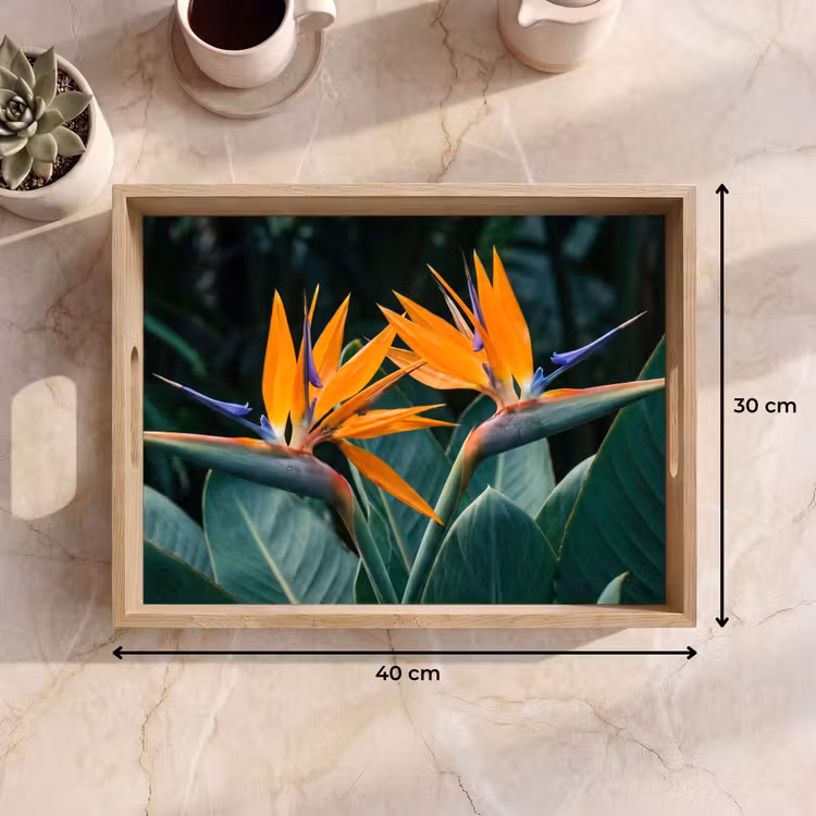 Paradijsvogel - Bloem - Exotisch Dienblad Rechthoek middel -USP_Formaat