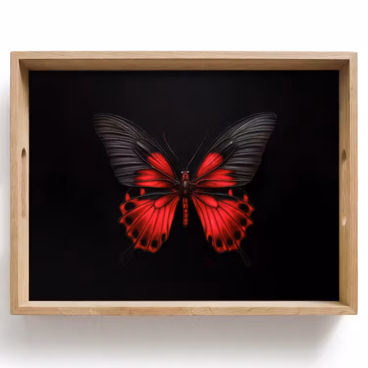 Vlinder - Rood - Contrast Dienblad Rechthoek middel -z3d_shopping
