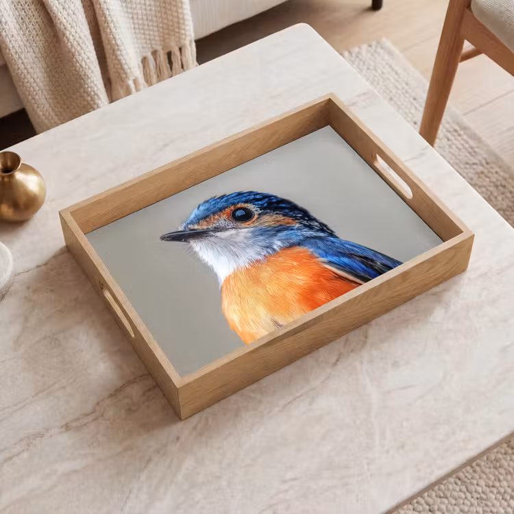 Kleurrijk - Vogeltje - Veren - Blauw Dienblad Rechthoek middel -sfeer1