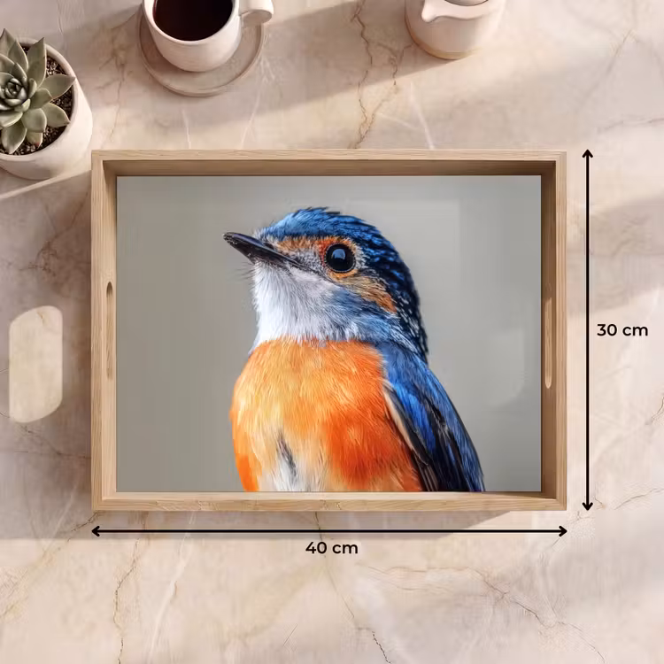 Kleurrijk - Vogeltje - Veren - Blauw Dienblad Rechthoek middel -USP_Formaat
