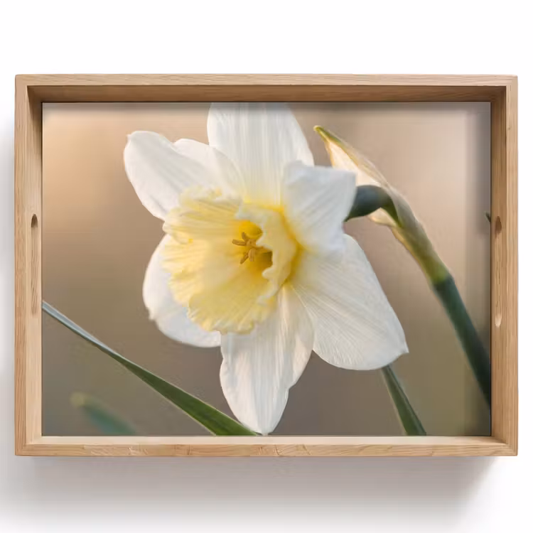 Narcis - Bloem - Minimalistisch Dienblad Rechthoek middel -z3d_shopping