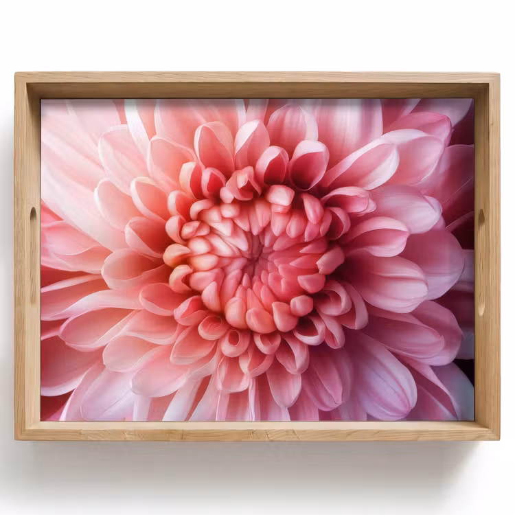 Dahlia - Bloem - Close up - Roze Dienblad Rechthoek middel -z3d_shopping