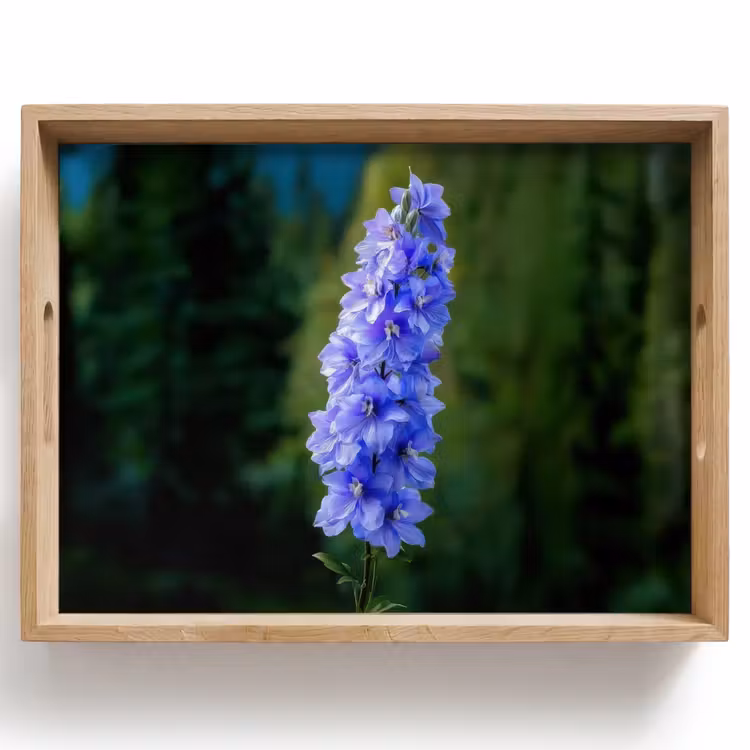 Bloemen - Blauw - Dennenboom Dienblad Rechthoek middel -z3d_shopping