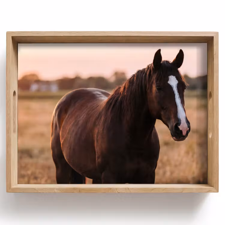 Paard - Zonsondergang - Bruin Dienblad Rechthoek middel -z3d_shopping