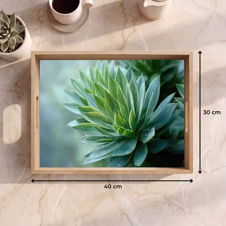 Blad - Plant - Groen - Textuur Dienblad Rechthoek middel -USP_Formaat