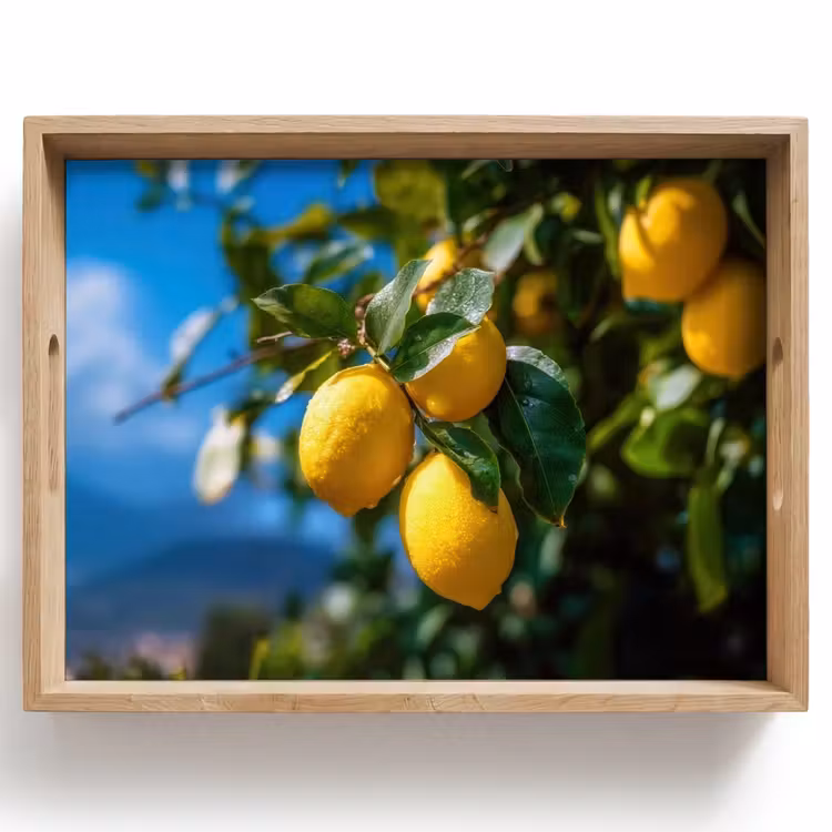 Citroenen - Bladeren - Blauwe lucht Dienblad Rechthoek middel -z3d_shopping