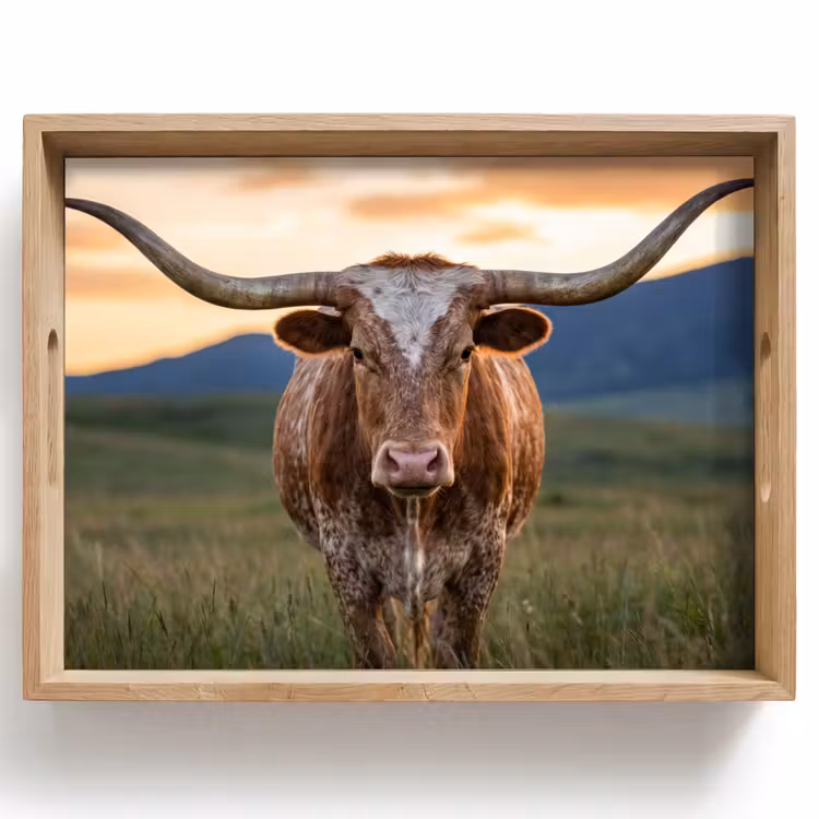 Longhorn - Landschap - Zonsondergang Dienblad Rechthoek middel -z3d_shopping