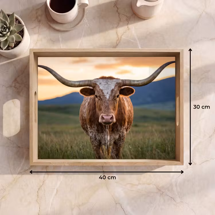 Longhorn - Landschap - Zonsondergang Dienblad Rechthoek middel -USP_Formaat