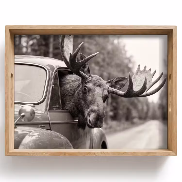 Eland - Auto - Gewei - Zwart - Wit Dienblad Rechthoek middel -z3d_shopping