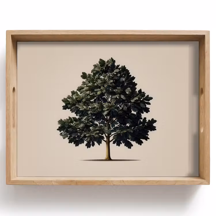 Eikenboom - Schaduw - Egaal Dienblad Rechthoek middel -z3d_shopping