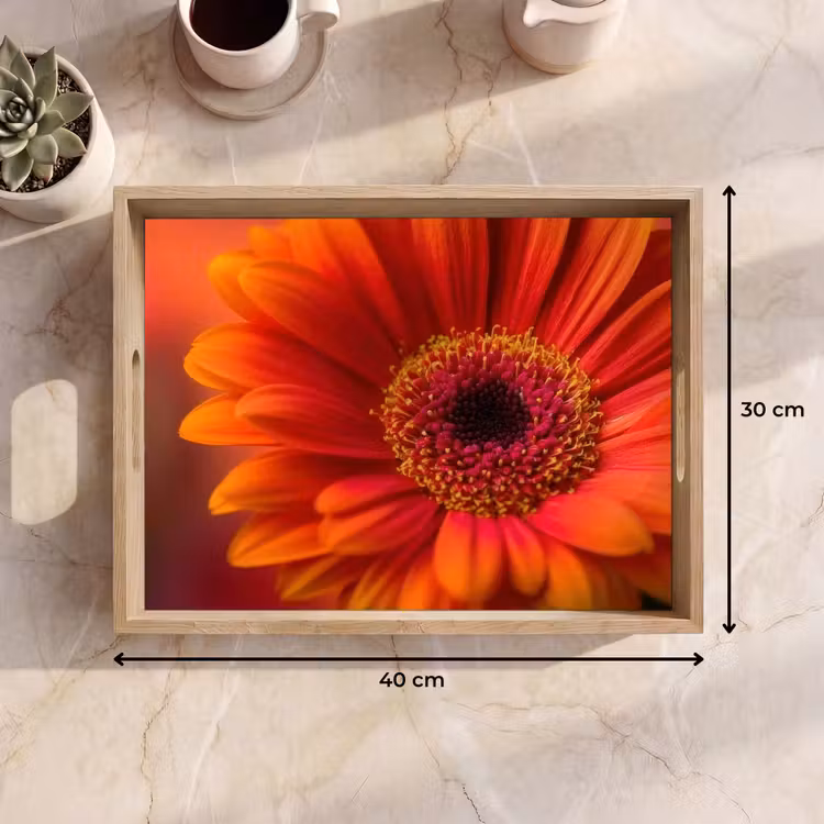 Oranje - Gerbera - Intens Dienblad Rechthoek middel -USP_Formaat