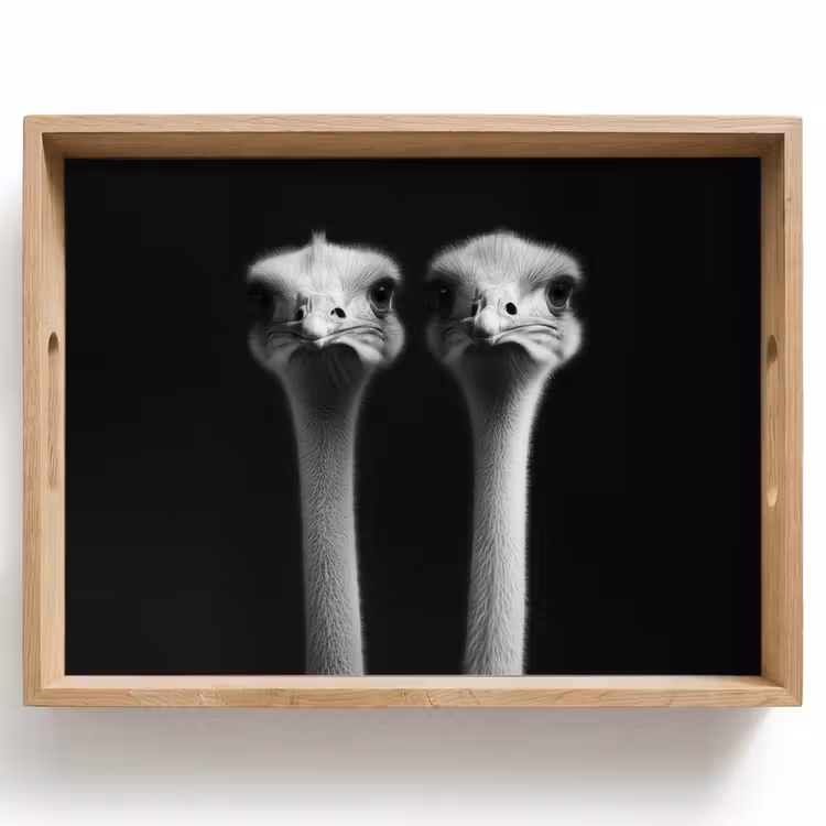 Struisvogels - Halzen - Zwart - Minimalistisch Dienblad Rechthoek middel -z3d_shopping