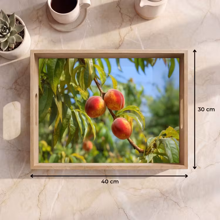 Perzik - Bladeren - Zonlicht Dienblad Rechthoek middel -USP_Formaat