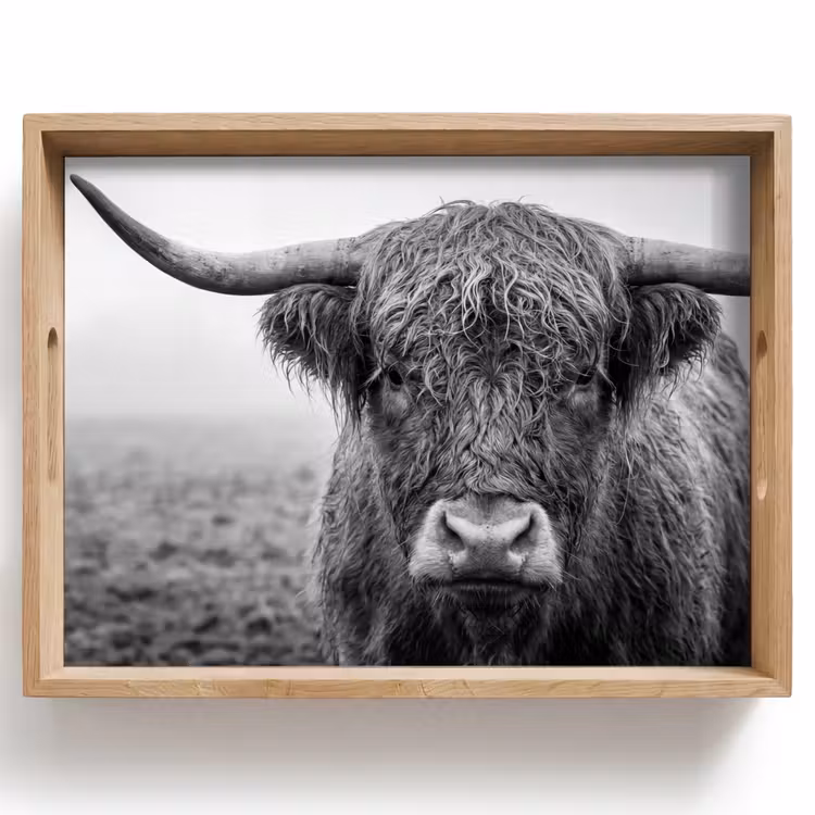 Schotse hooglander - Zwart - Wit - Gras Dienblad Rechthoek middel -z3d_shopping