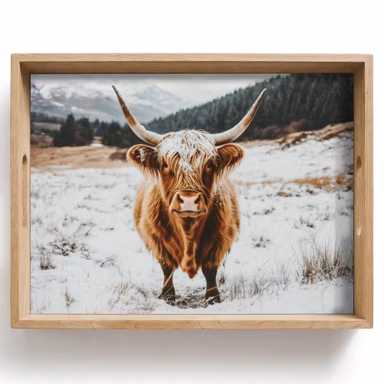 Schotse Hooglander - Landschap - Sneeuw - Bergen - Winter Dienblad Rechthoek middel -z3d_shopping